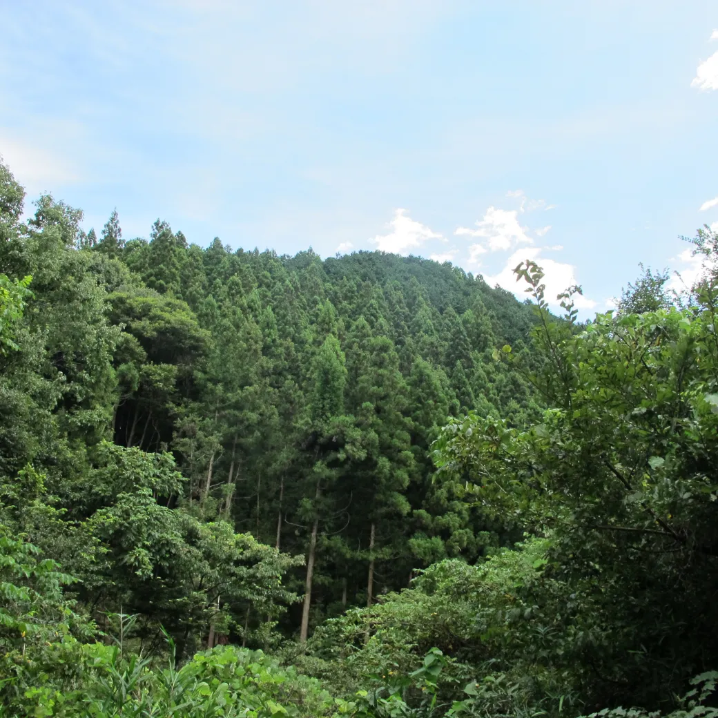 経営理念「木材の最大経済活用」